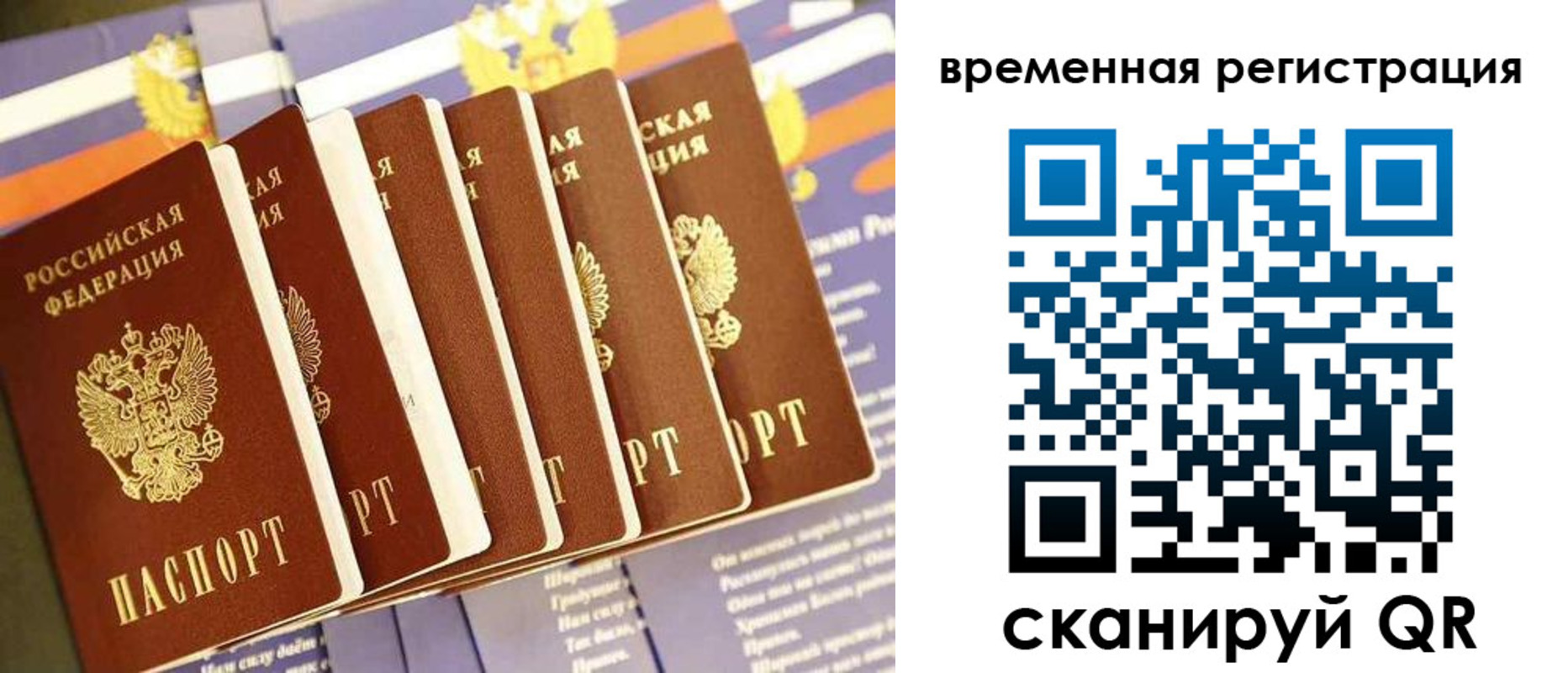 временная регистрация поиск в Красном Сулине